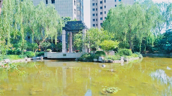 天澤小墅歡迎您的光臨(圖4)
